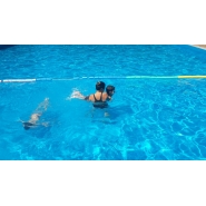 Colonia de Vacaciones - Diciembre 2014